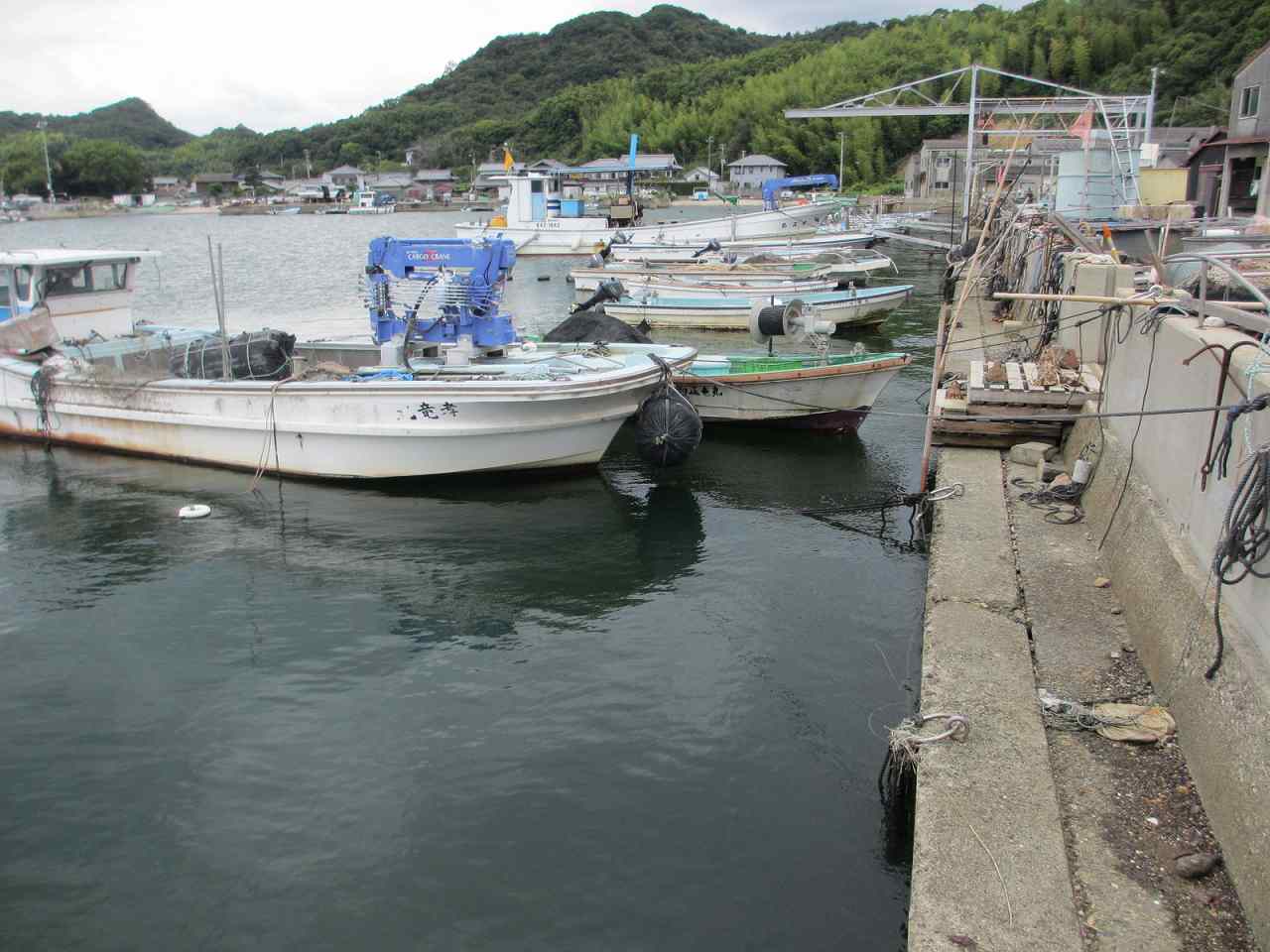 香川県,海釣り,ポイント,白片港